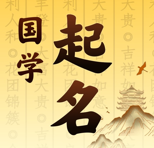 隆昌国学起名 人工起名一对一